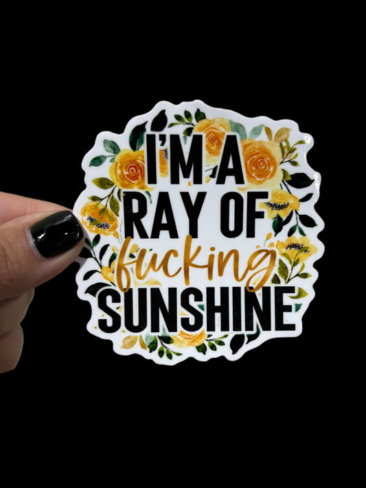 Ray of Fucking Sunshine Sticker