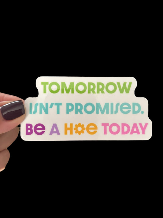 Tomorrow isn’t promised. Be a hoe today Sticker