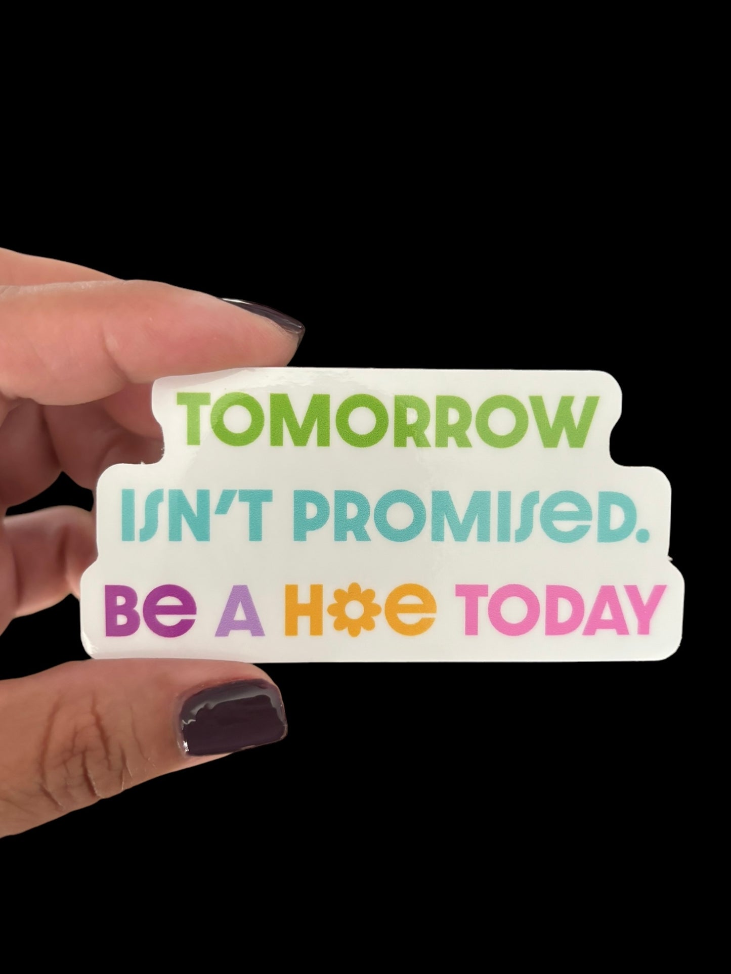 Tomorrow isn’t promised. Be a hoe today Sticker