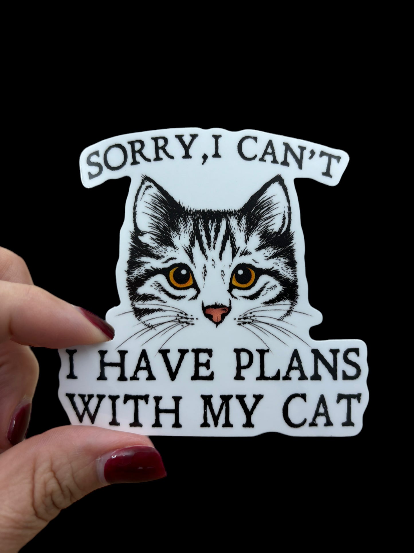 Plans with my cat sticker