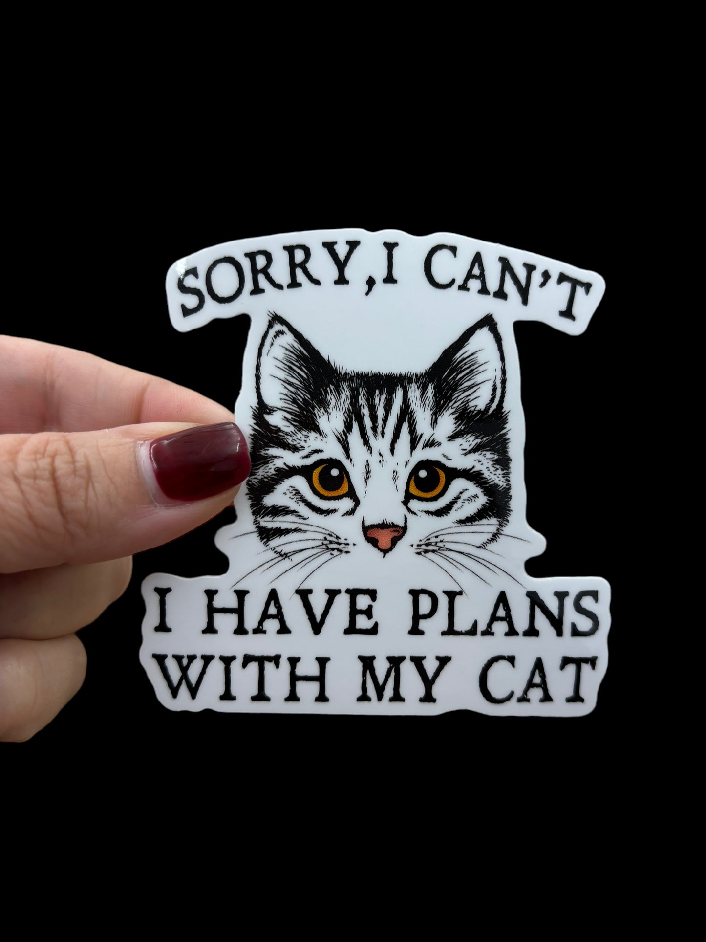 Plans with my cat sticker